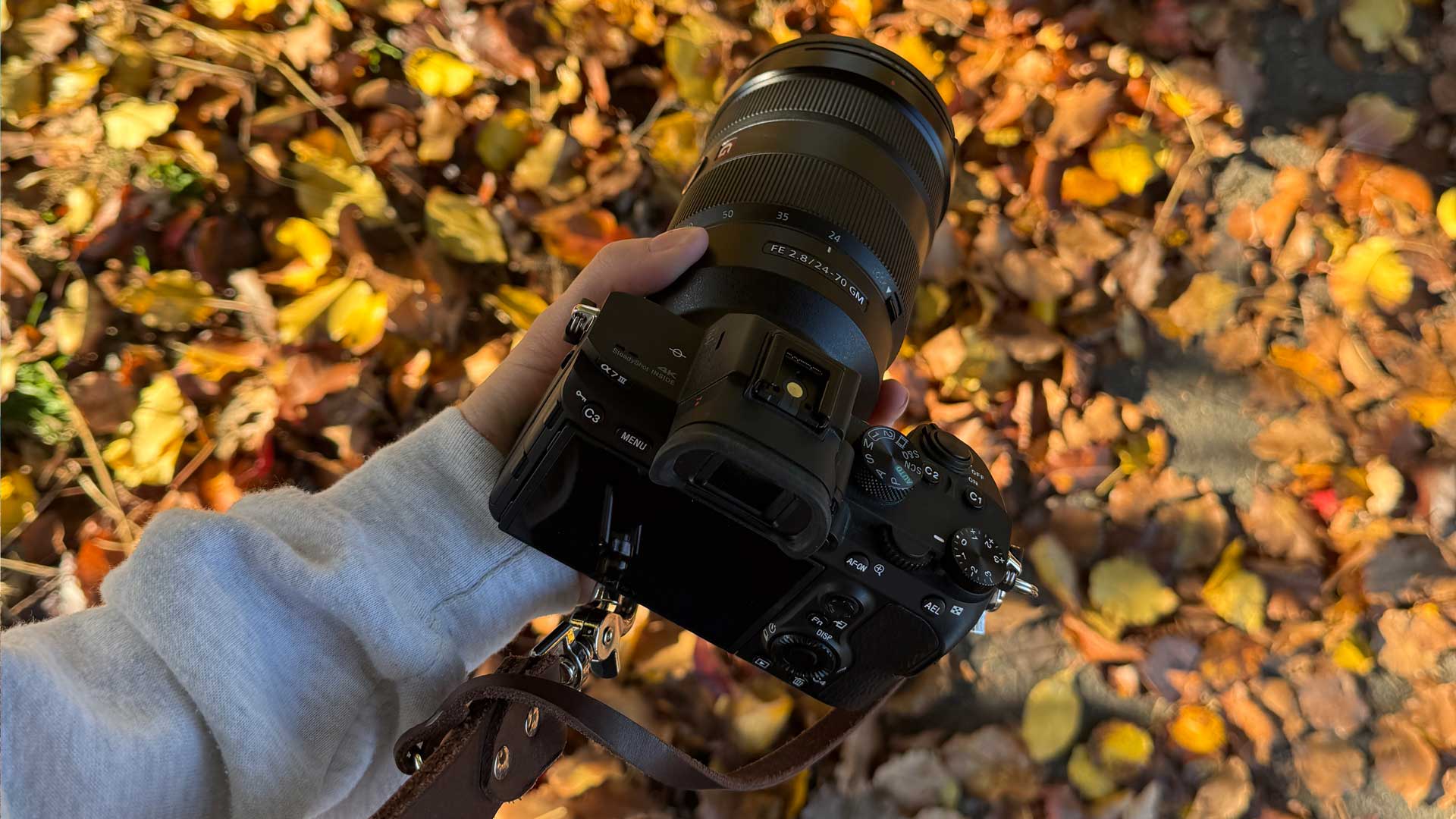 Photography workshop participants outdoors during a Camera Confidence session in Thunder Bay