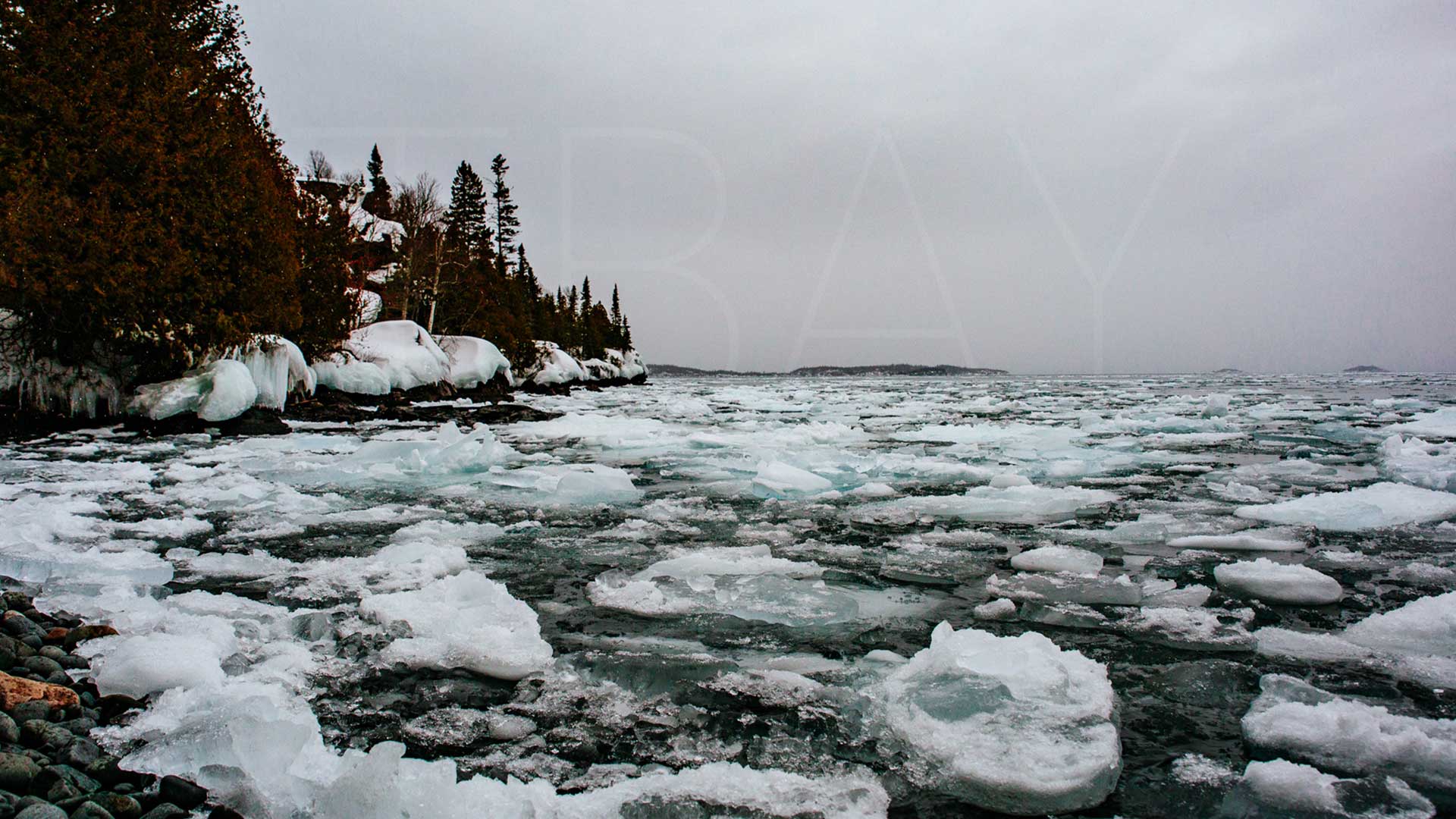Photography student practising aperture and shutter priority modes during Camera Confidence Session 2 in Thunder Bay