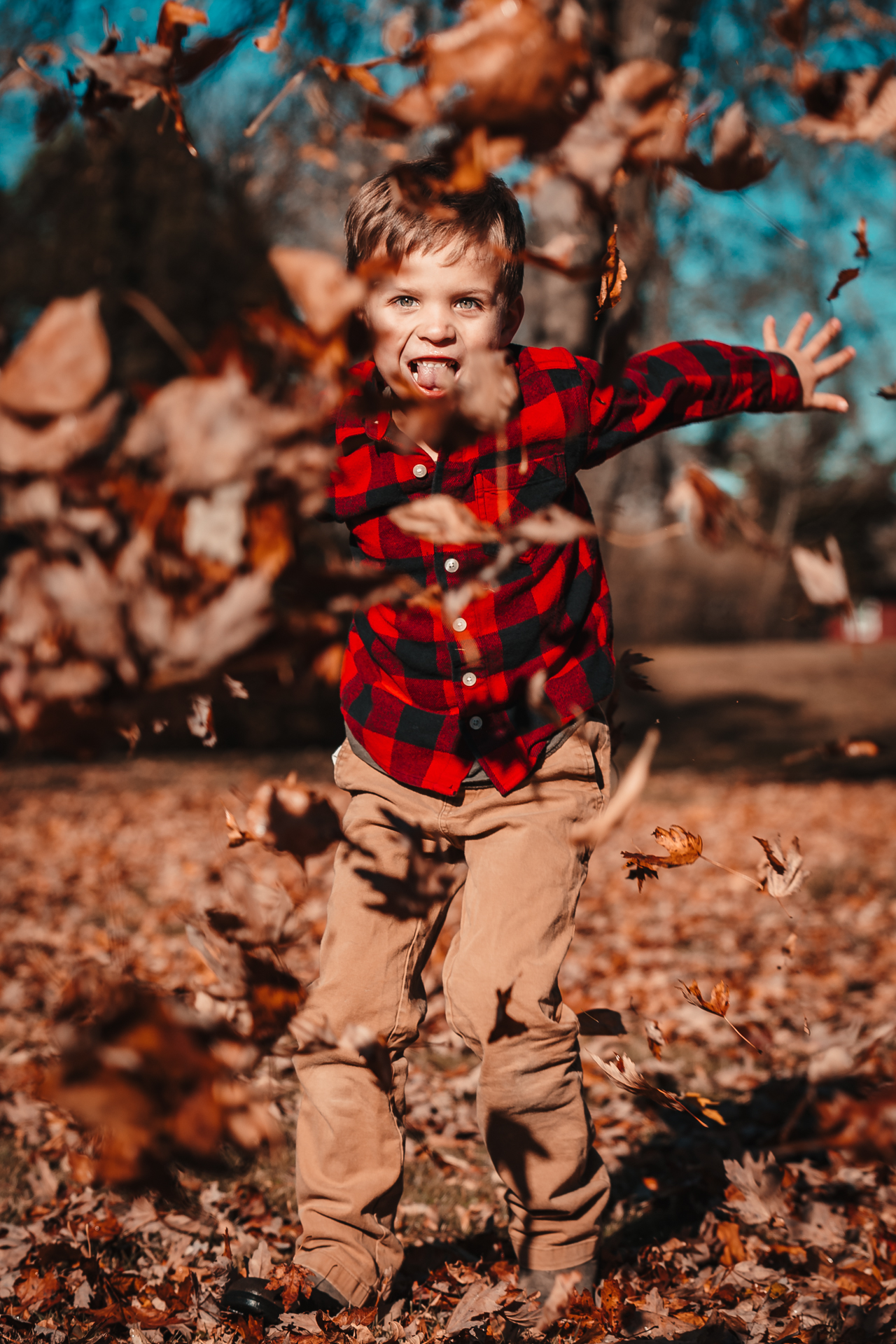 Fall mini session in Thunder Bay